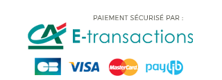 Paiement par Visa, Mastercard, PayPal, Virement bancaire